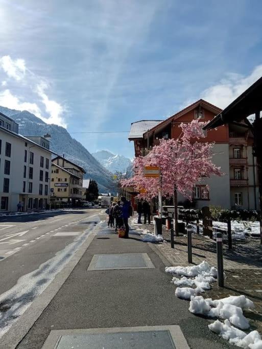 New.. Matten Central Family Suite, Sleeps 4 Matten bei Interlaken Exteriér fotografie
